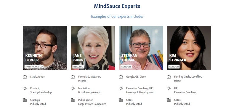 MindSauce- Online Business Consultancy