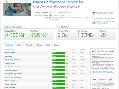 Website Speed Optimization 100% PERFORMANCE