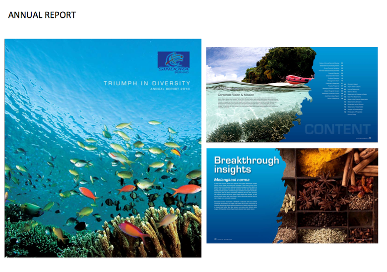 Graphic Design - Annual Report Design