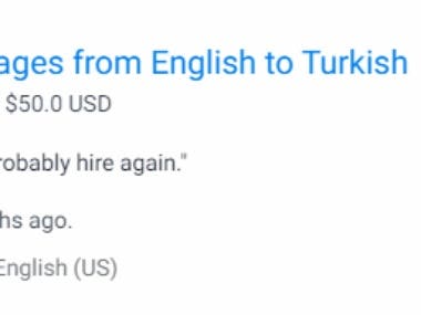 English to Turkish translation