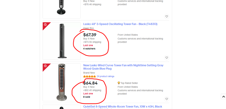 eBay Dropshipping product sales