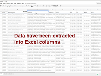 Extract PDF Directory to Excel - Names, Addresses, Email ...