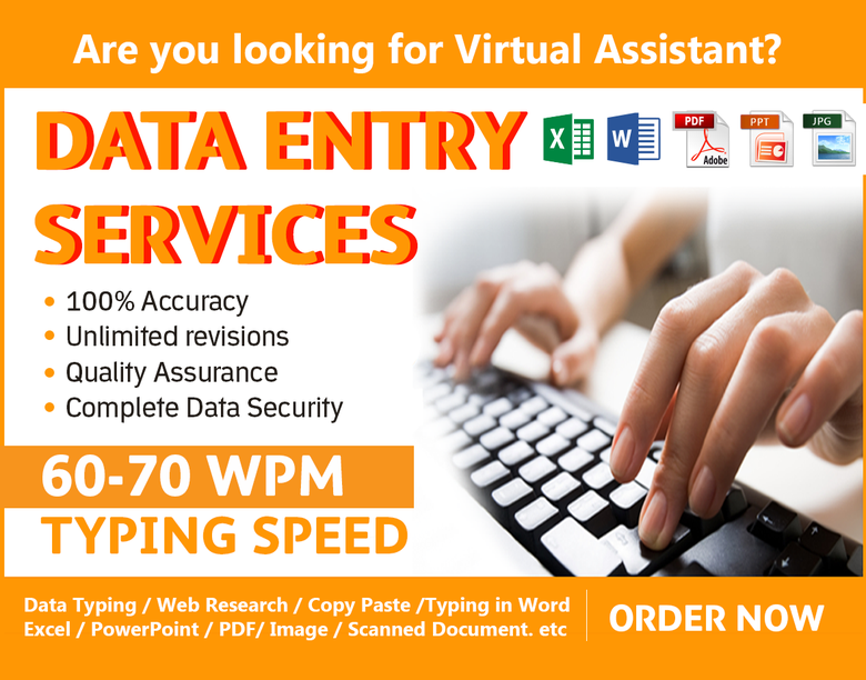 Are you looking for a Virtual Assistant? DATA ENTRY?