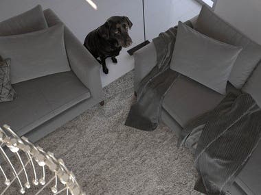 Dog Living Room Design