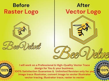 VECTOR TRACE / ILLUSTRATION / Vcetor Design