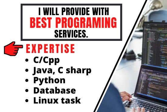 I will do c, cpp, python, java, c sharp programming expert