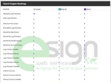 Search Engine Ranking Report
