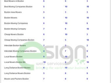 Search Engine Ranking Report