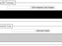 Fetch Data using Twitter and Instagram API