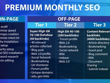 Our Monthly SEO Service will guarantee