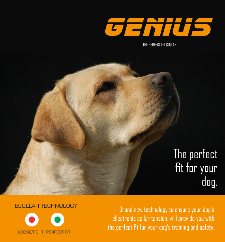 Genius: Pet collar