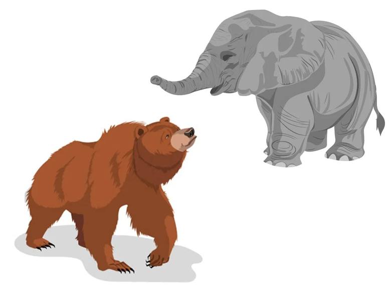 Animals Illustrations