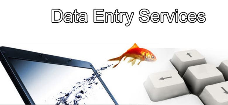 Data entry excel