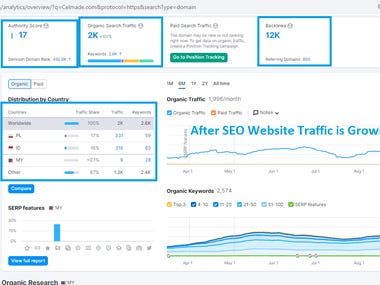SEO Success Story: Before and After