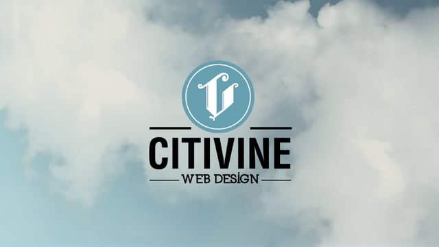 Virtual Assistant  in  CITYVINE WEB DEVELOPMENT COMPANY.