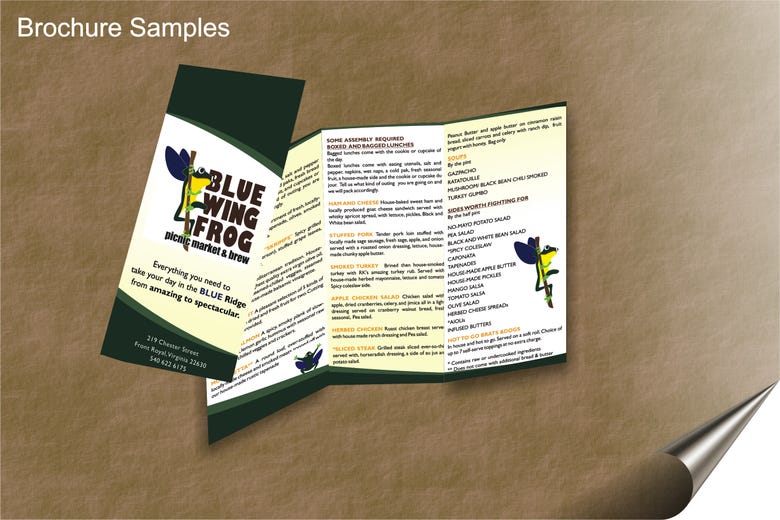 Brochure Design Samples
