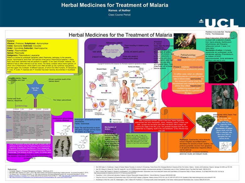 Herbal methods of treating and combating Malaria