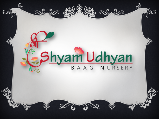 khatu shyam ji Logo PNG Vector (CDR) Free Download
