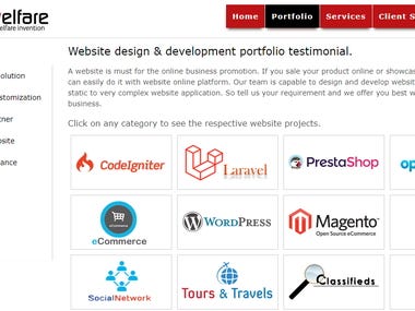 Category wise portfolio showcase Website design