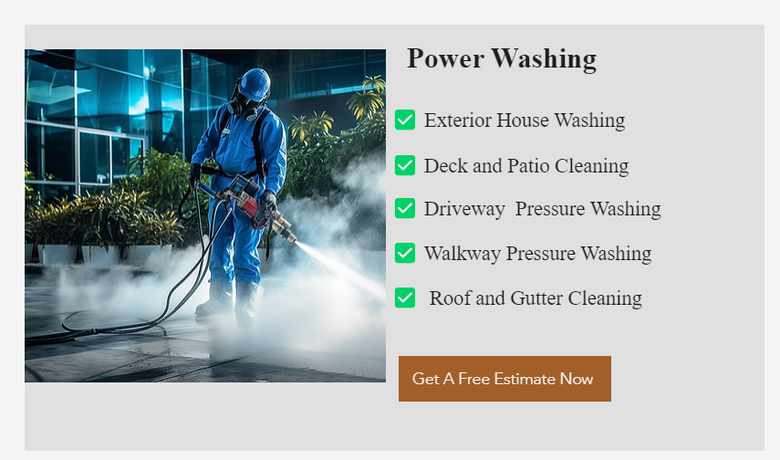 WIX Website of Power Washing Services- Ecopaint wash Florida