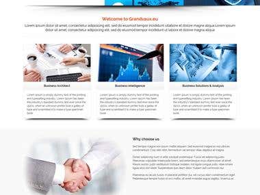 BI Consultantcy firm website