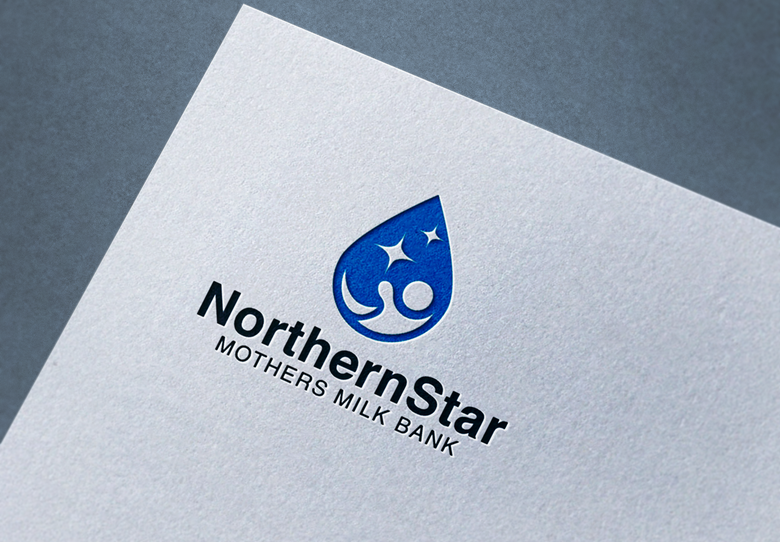 Northern star logo