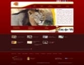 Website Projects