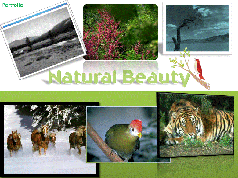 PowePoint Presentation- Natural Beauty