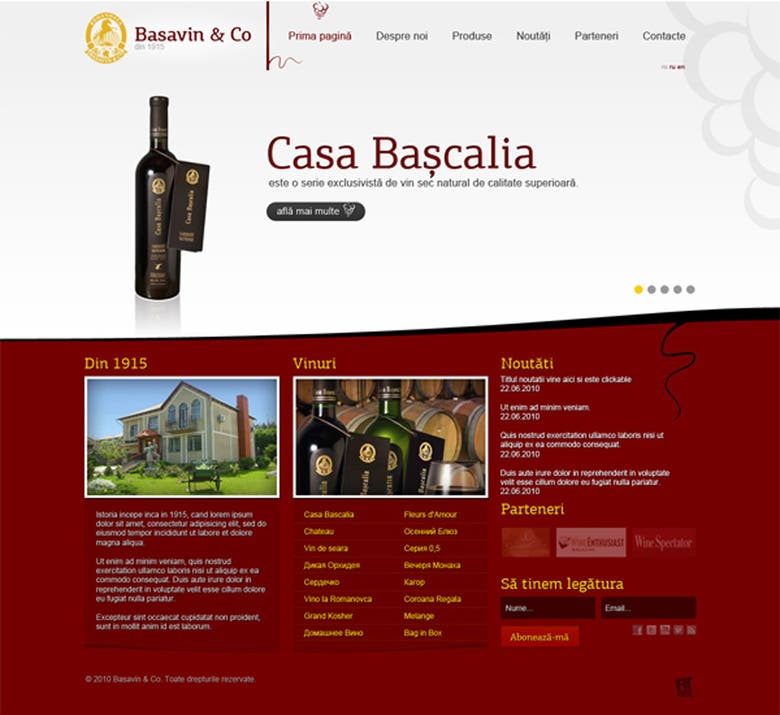 Website Design - Basavin