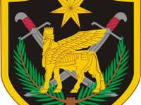 Multi-National Security Transition Team - Iraq