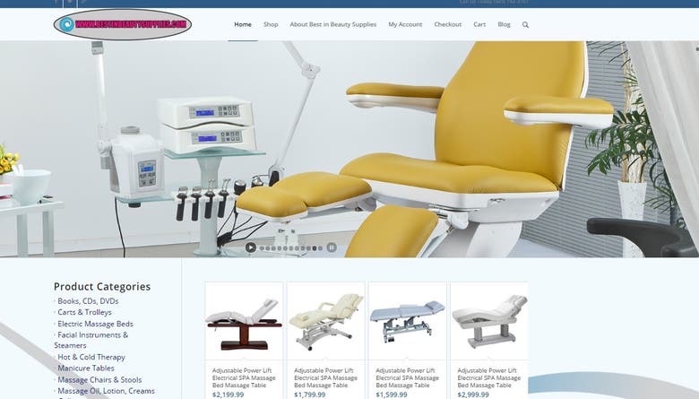 Ecommerce Website Design and Promotion