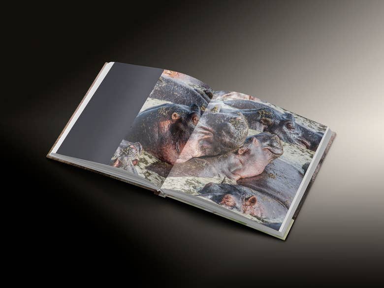 Photobook for CreateSpace