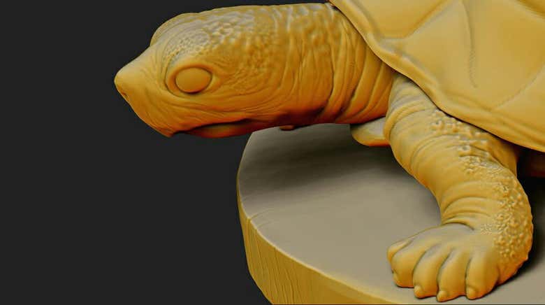 3D sculptures and bas-reliefs.  Zbrush.