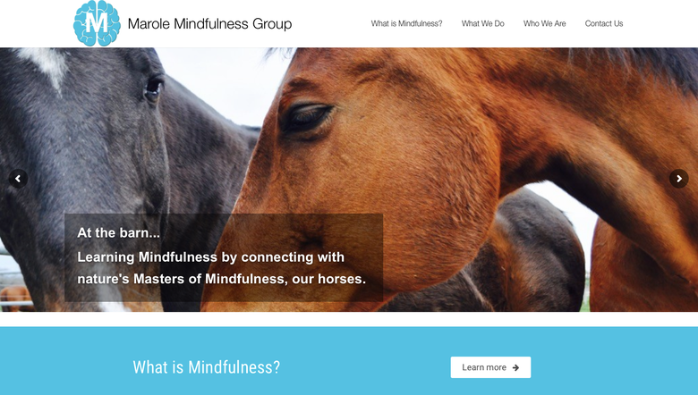 Customized WordPress website for Marole Mindfulness Group