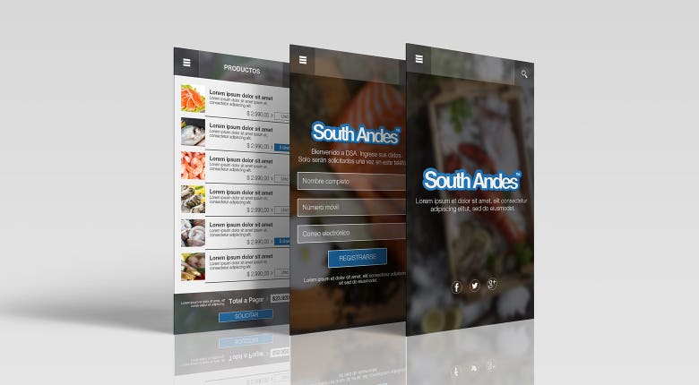 App Design | South Andes™