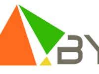 badawy Logo