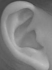 Recognition of Humans Using Ear Images