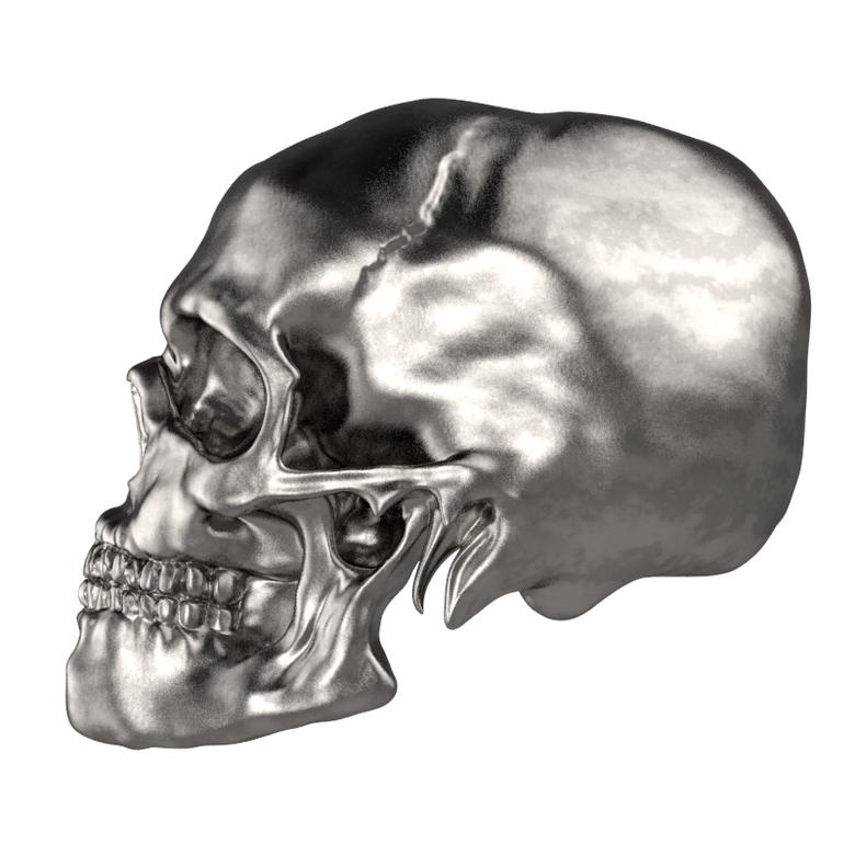 Skull modeling and rendering