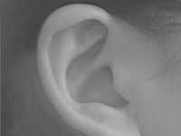 Recognition of Humans Using Ear Images