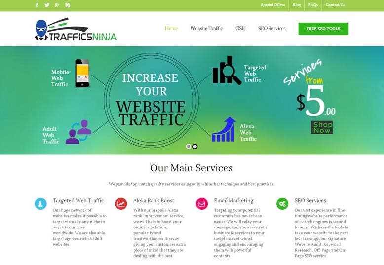 Website for Online Traffic Business