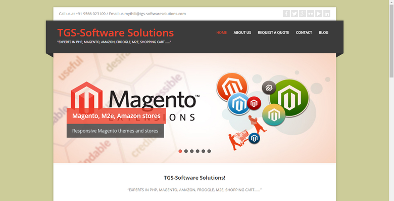 tgs-softwaresolutions.com