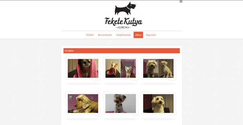 Feketekutya Dog Grooming Service Website
