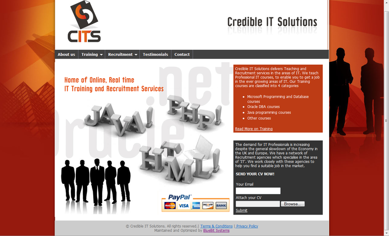 Credible IT Solutions
