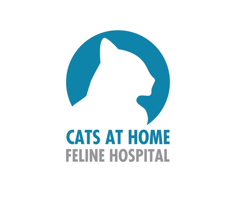 Cats At Home Feline Hospital