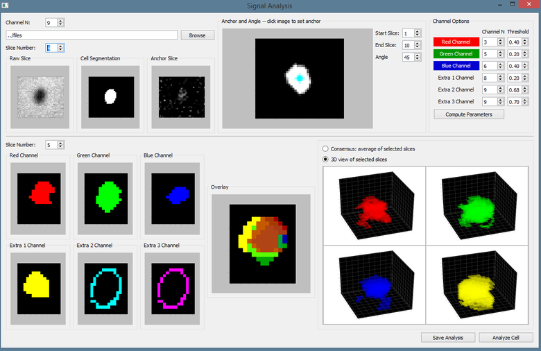 Analysis and visualization of 3D microscopy imagery