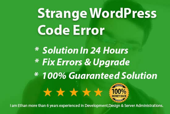 Strange WordPress Code Errors Services