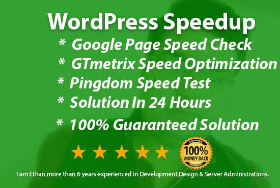 WordPress Speedup Service