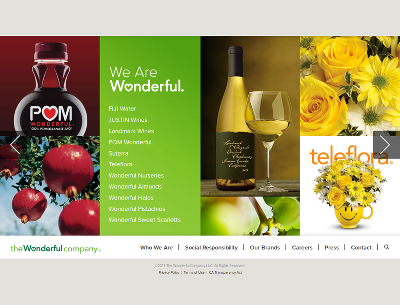 Website for a vine company