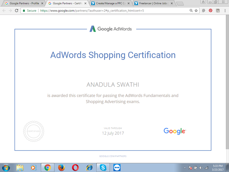 Google Shopping Certification
