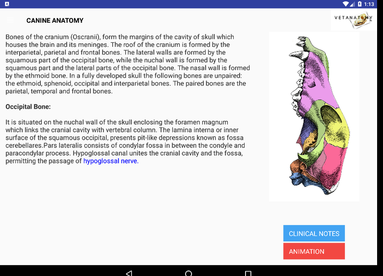 Android App- Vat- anatomy